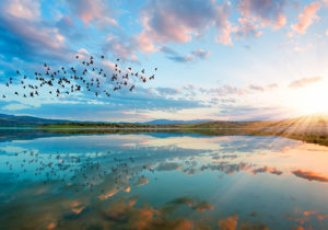 Pace Analytical PFAS Tribal Lands