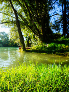 Pace Analytical PFAS Non Potable Water image