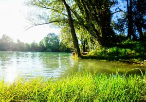 Pace Analytical PFAS Non Potable Water image